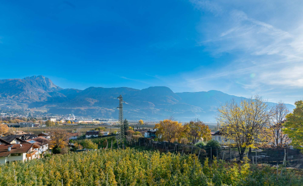 2 IMMOBILIARE_MERANO