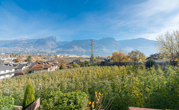 IMMOBILIARE_MERANO-24